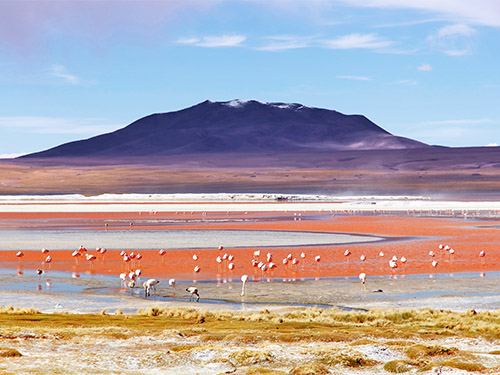 Laguna Colorada